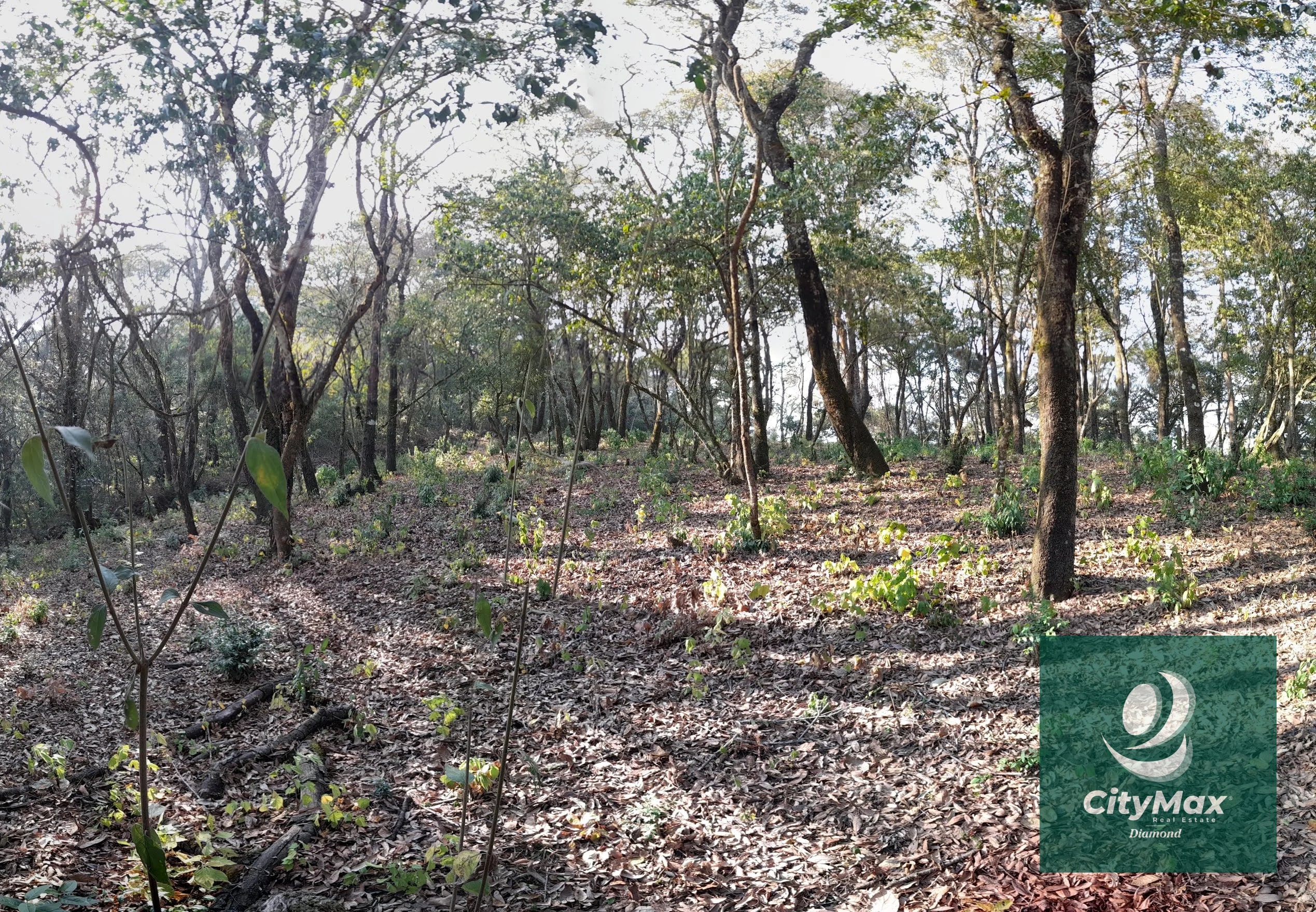 Terreno de esquina en Venta en El Encinal Zona 7 Mixco — Terreno en Venta en Zona 7 Mixco, Guatemala, Ciudad — foto 13 de 15