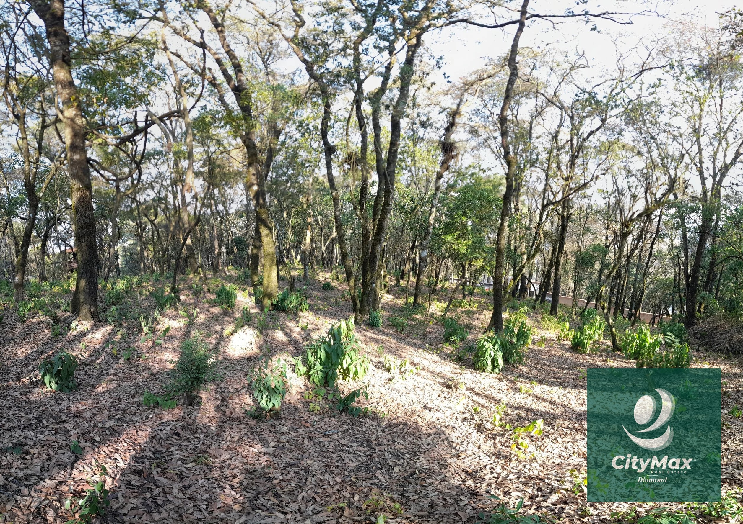 Terreno de esquina en Venta en El Encinal Zona 7 Mixco — Terreno en Venta en Zona 7 Mixco, Guatemala, Ciudad — foto 1 de 15