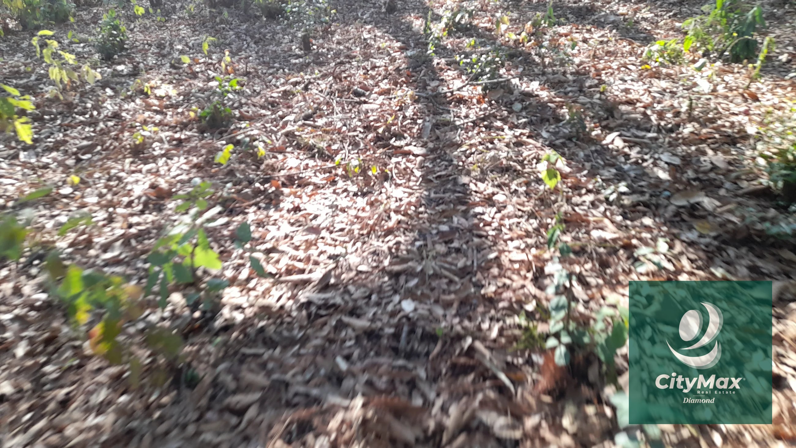 Terreno de esquina en Venta en El Encinal Zona 7 Mixco — Terreno en Venta en Zona 7 Mixco, Guatemala, Ciudad — foto 6 de 15