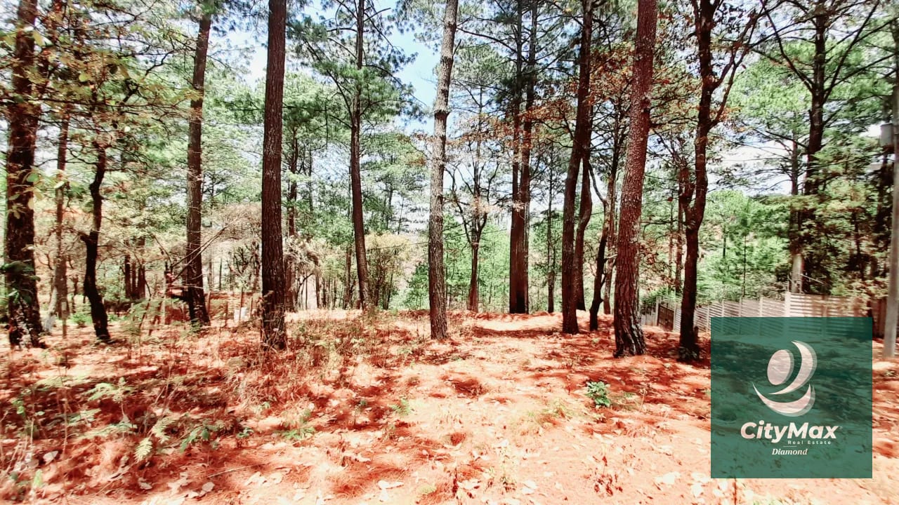 Terreno en Venta en Santo Domingo Xenacoj Sacatepequez — Terreno en Venta en Santo Domingo Xenacoj, Sacatepéquez — foto 2 de 7