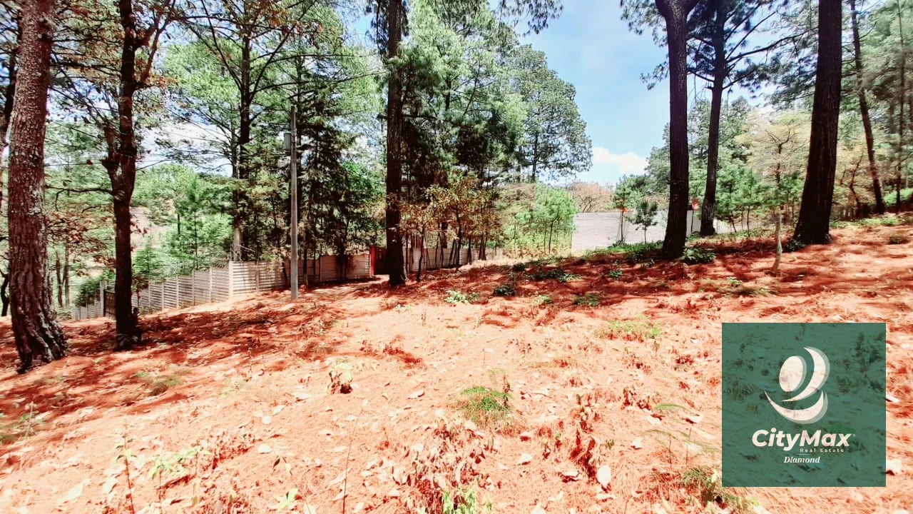 Terreno en Venta en Santo Domingo Xenacoj Sacatepequez — Terreno en Venta en Santo Domingo Xenacoj, Sacatepéquez — foto 3 de 7