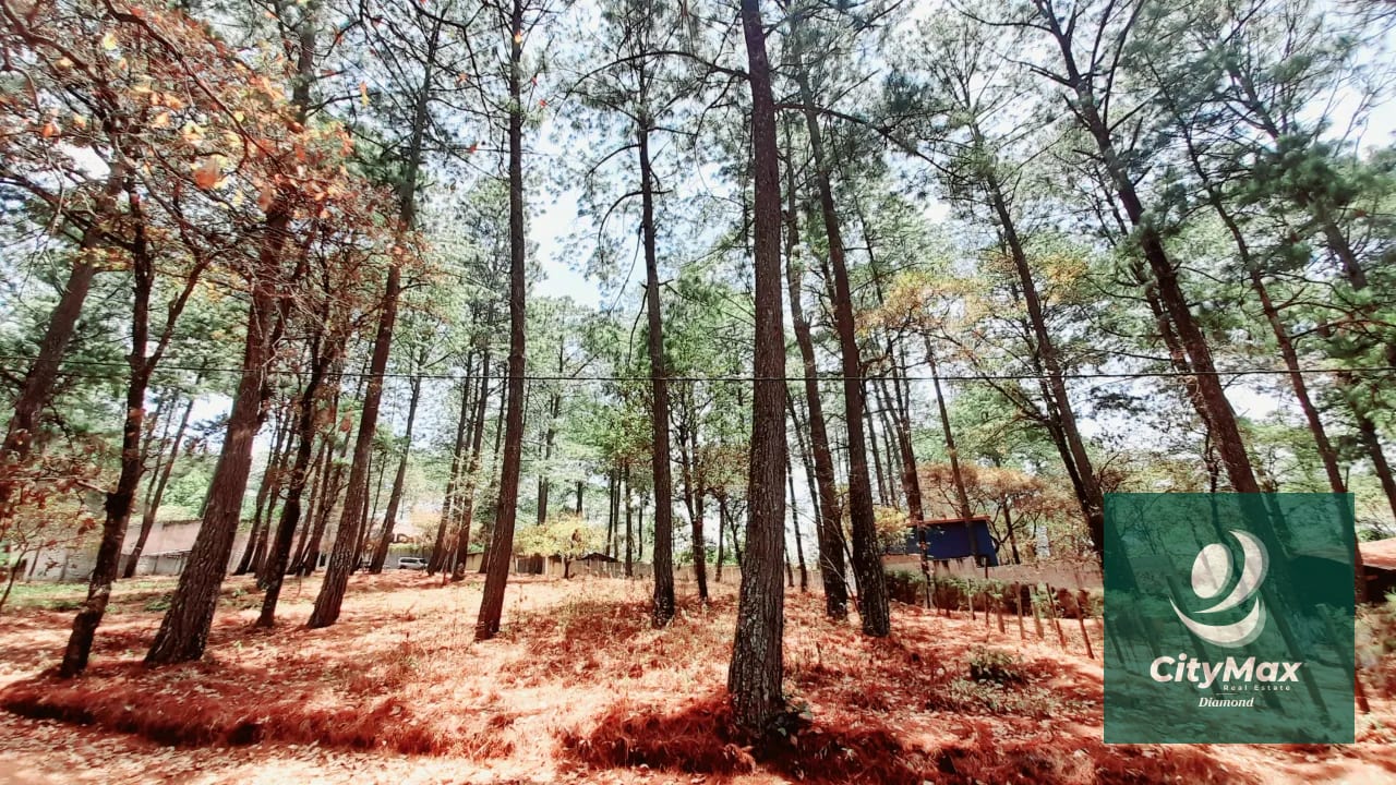 Terreno en Venta en Santo Domingo Xenacoj Sacatepequez — Terreno en Venta en Santo Domingo Xenacoj, Sacatepéquez — foto 4 de 7