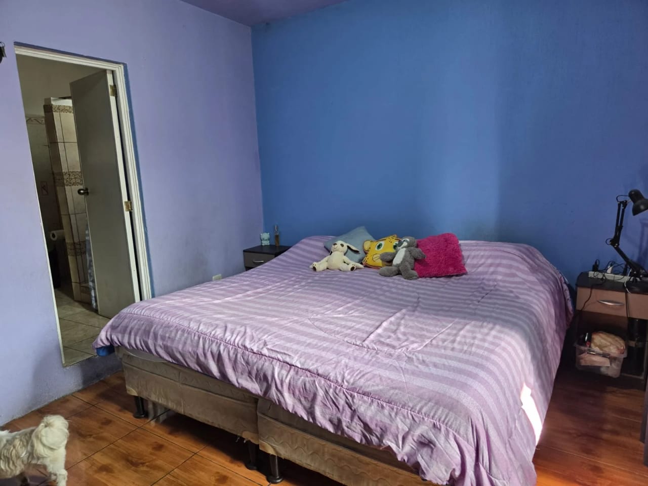 VENDO CASA ZONA 1 MUY CERCA MERCADO SAN MARTIN REF.6921 — Casa en Venta en Zona 1, Guatemala, Ciudad — foto 12 de 12
