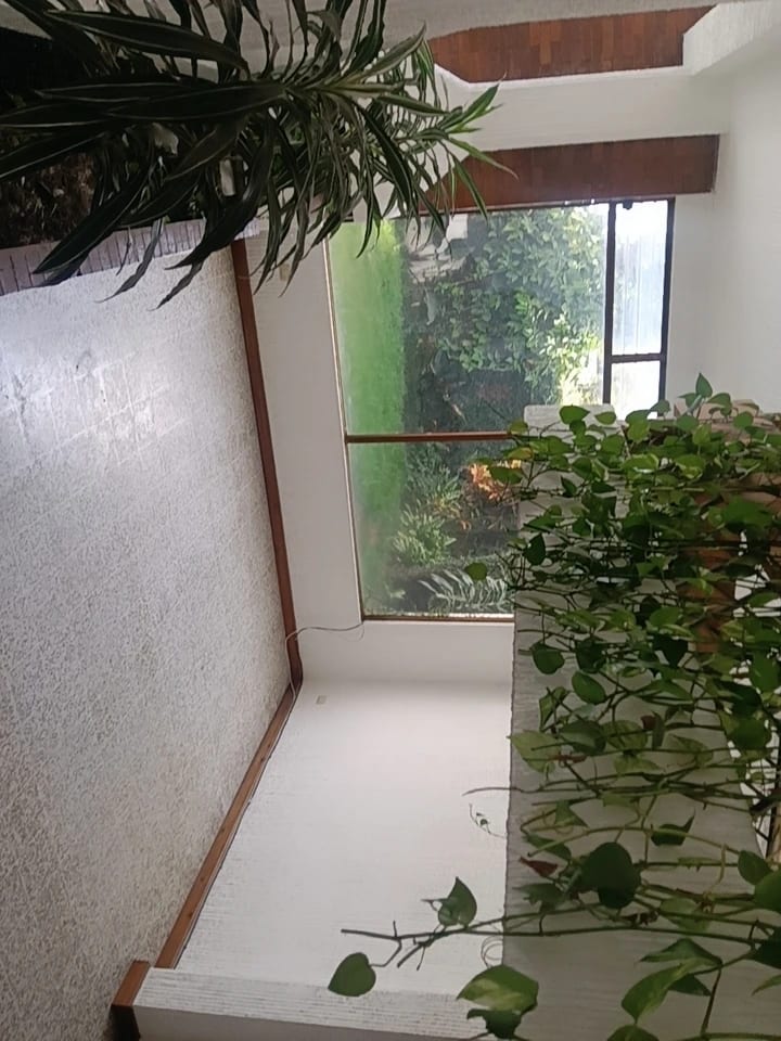 RENTO CASA DE 4 HAB ZONA 10 VILLA MARQUEZ REF.6934 *3 PARQUEOS, CUARTO SERV, 4 HAB, 3.5 BAÑOS, SALA FAM* — Casa en Alquiler en Zona 10, Guatemala, Ciudad — foto 9 de 13