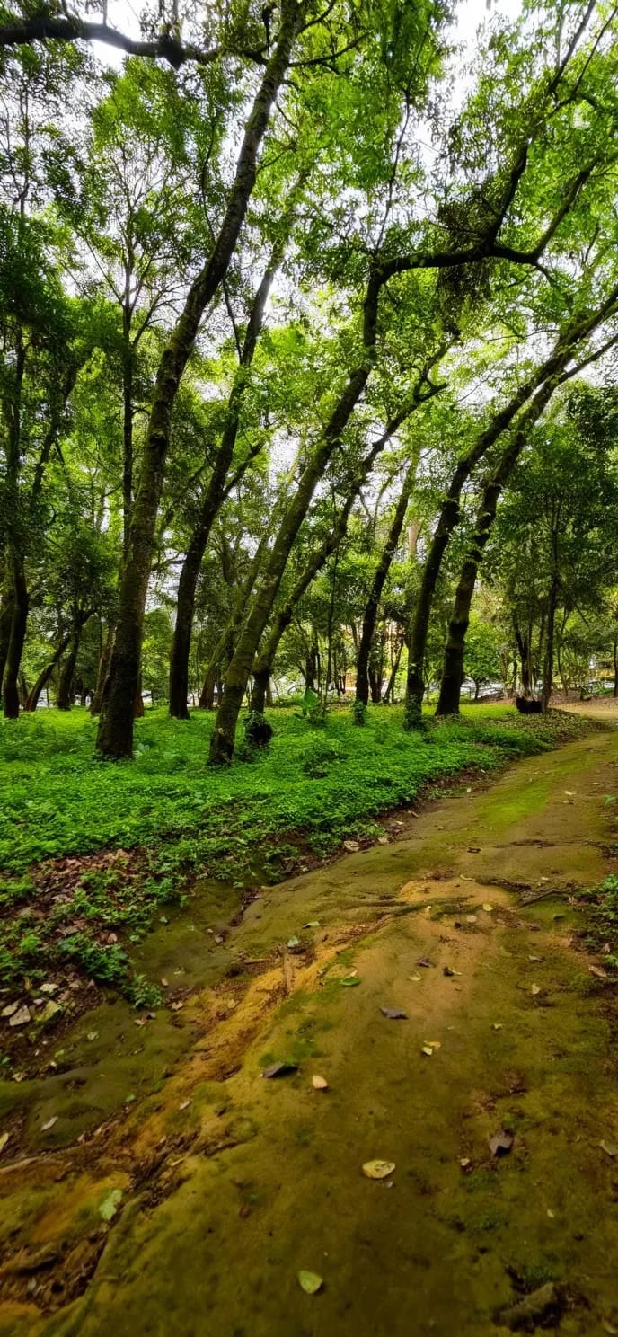 Terreno Comercial en VENTA Km.24.5 Carretera Interamericana — Terreno en Venta en San Lucas Sacatepéquez, Sacatepéquez — foto 2 de 11