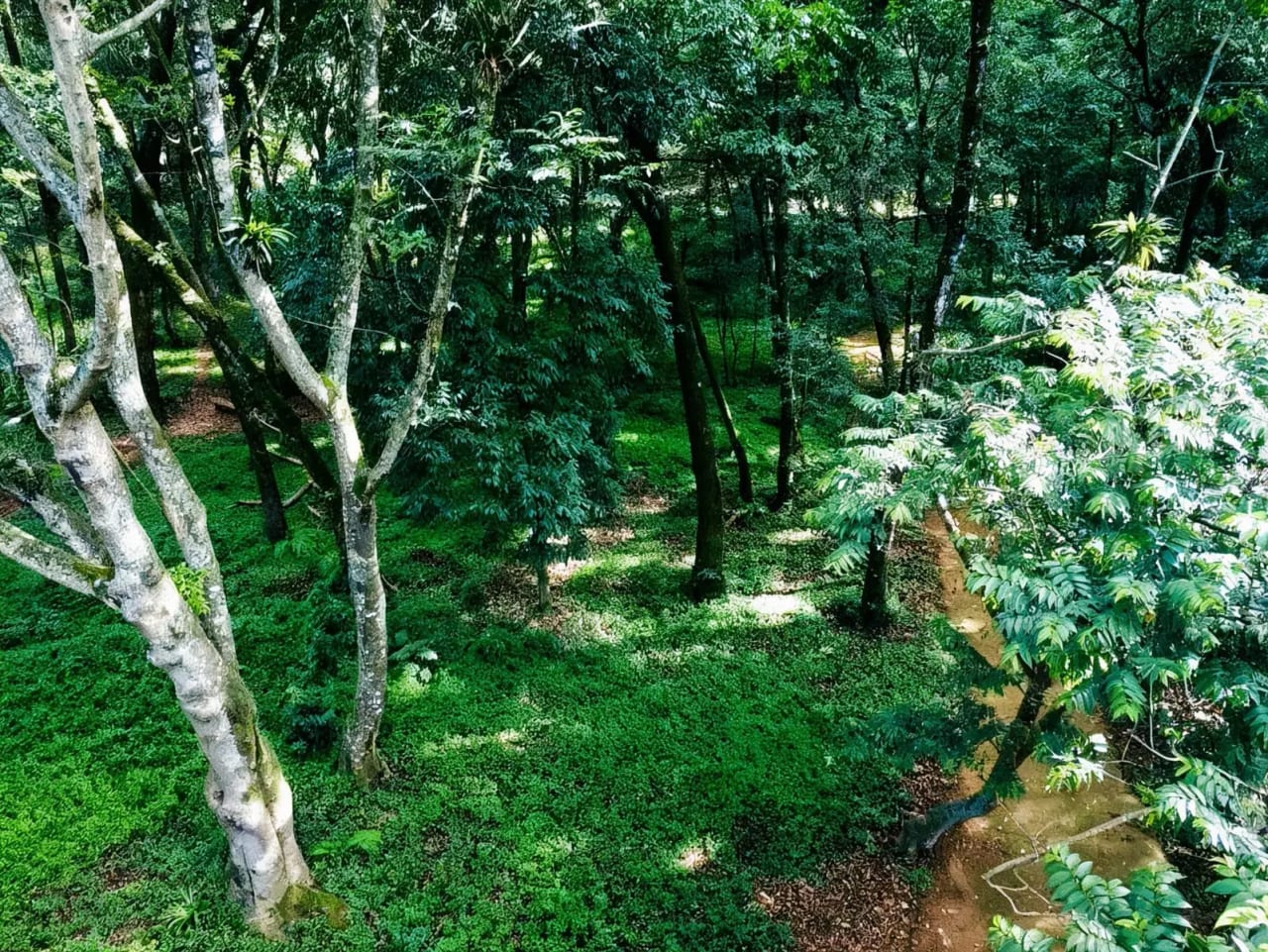 Terreno Comercial en VENTA Km.24.5 Carretera Interamericana — Terreno en Venta en San Lucas Sacatepéquez, Sacatepéquez — foto 3 de 11