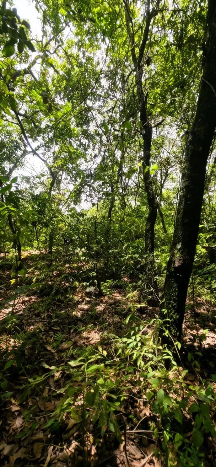 Terreno en Venta giro Comercial Camino a Ciudad Satélite5 Z.9 de Mixco — Terreno en Venta en Zona 9 Mixco, Guatemala, Ciudad — foto 6 de 9