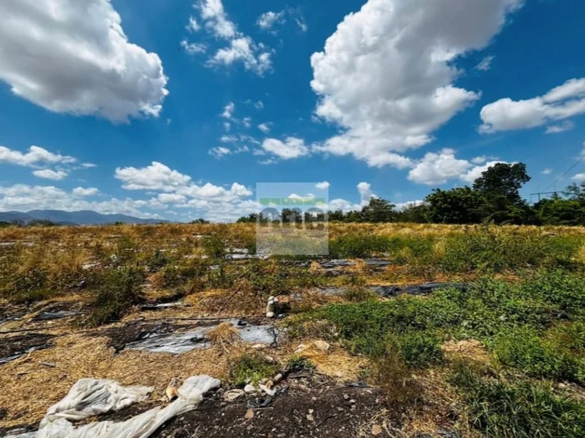 Teculután, Zacapa vendo Terreno de 5 manzanas a orilla de carretera — Terreno en Venta en Teculután, Zacapa — foto 4 de 7