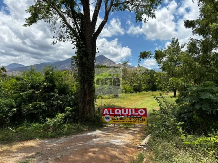 Teculután, Zacapa vendo Terreno de 5 manzanas a orilla de carretera — Terreno en Venta en Teculután, Zacapa — foto 6 de 7
