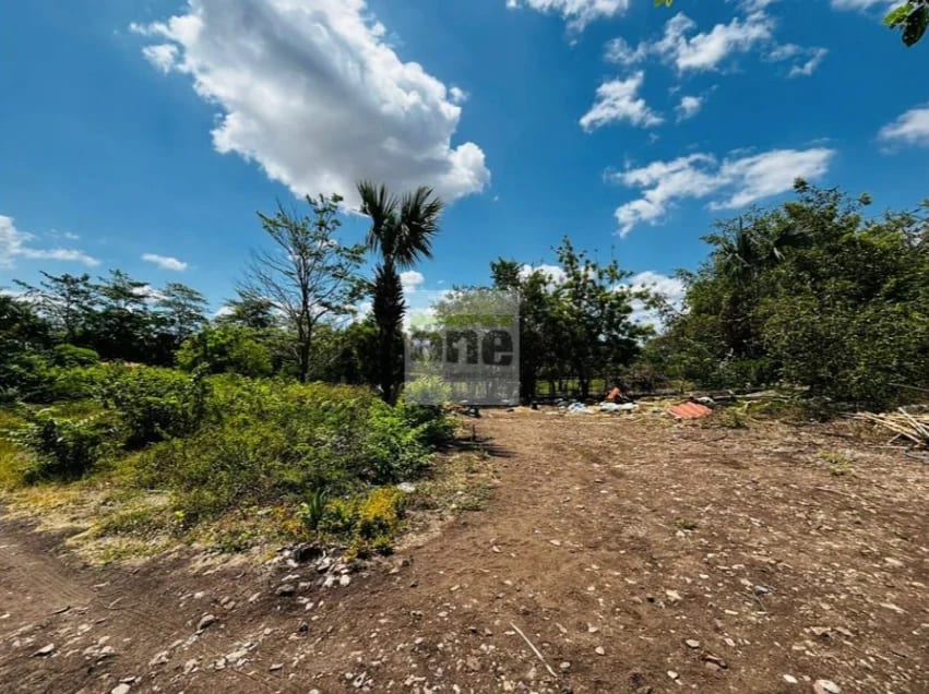 Teculután, Zacapa vendo Terreno de 5 manzanas a orilla de carretera — Terreno en Venta en Teculután, Zacapa — foto 3 de 7