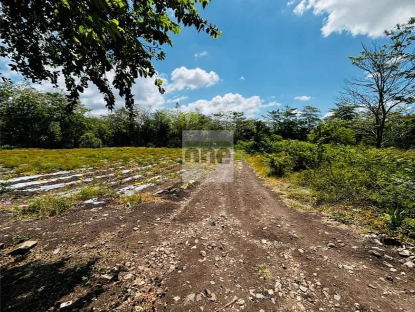 Teculután, Zacapa vendo Terreno de 5 manzanas a orilla de carretera — Terreno en Venta en Teculután, Zacapa — foto 2 de 7