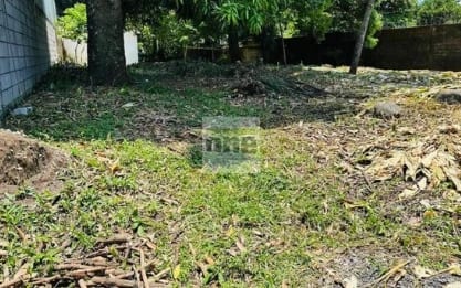 Retalhuleu km 131 en alquiler 2,5 manzanas — Terreno en Alquiler en Retalhuleu, Retalhuleu — foto 1 de 2