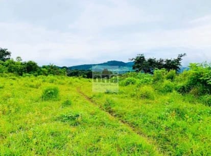 Santa Elena Barillas VENDO 2 MANZANAS de terreno PLANO — Terreno en Venta en Santa Elena Barillas, Guatemala, Ciudad — foto 3 de 3