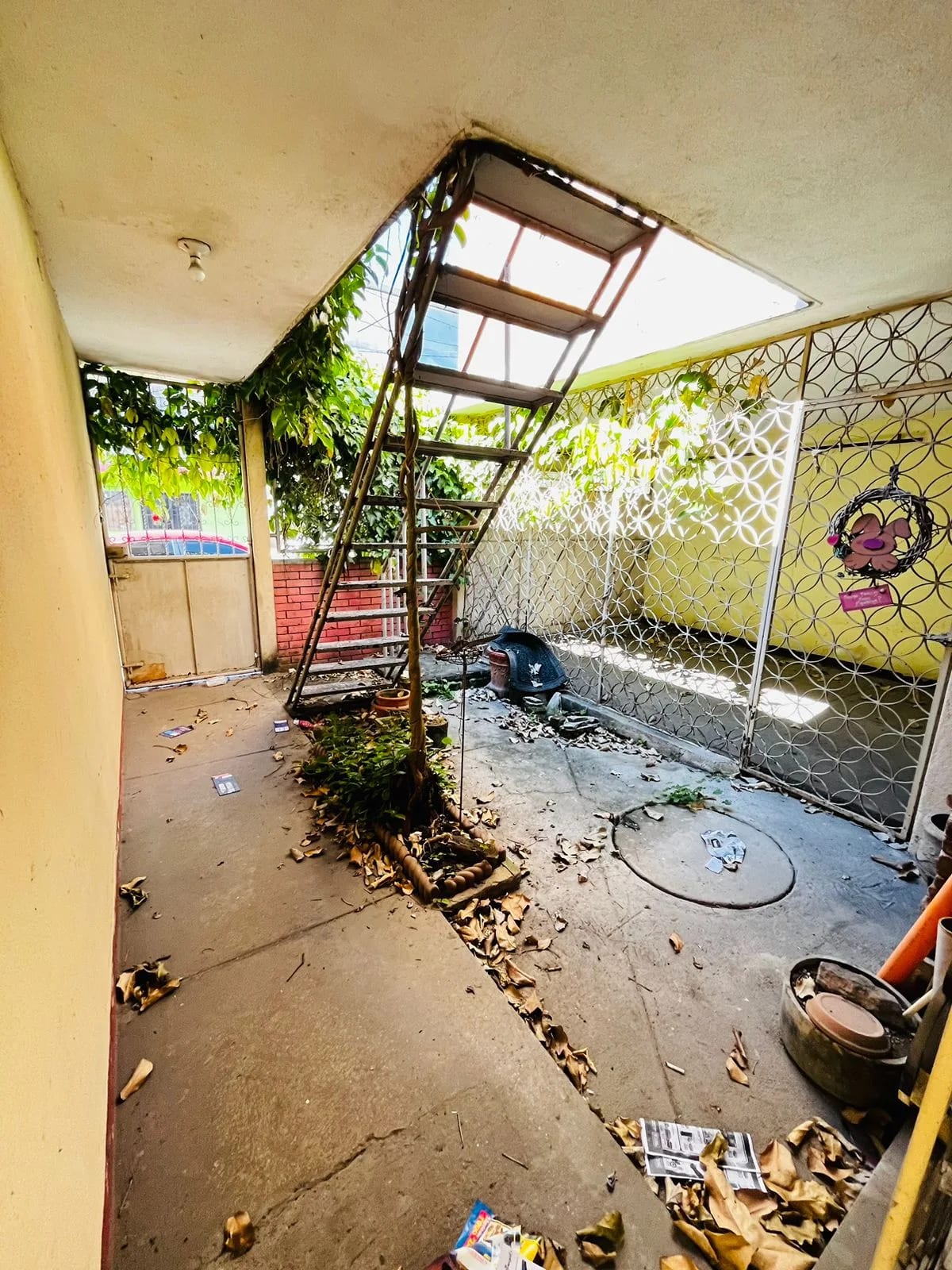 Amplia casa en venta en zona 6 — Casa en Venta en Zona 6, Guatemala, Ciudad — foto 6 de 11