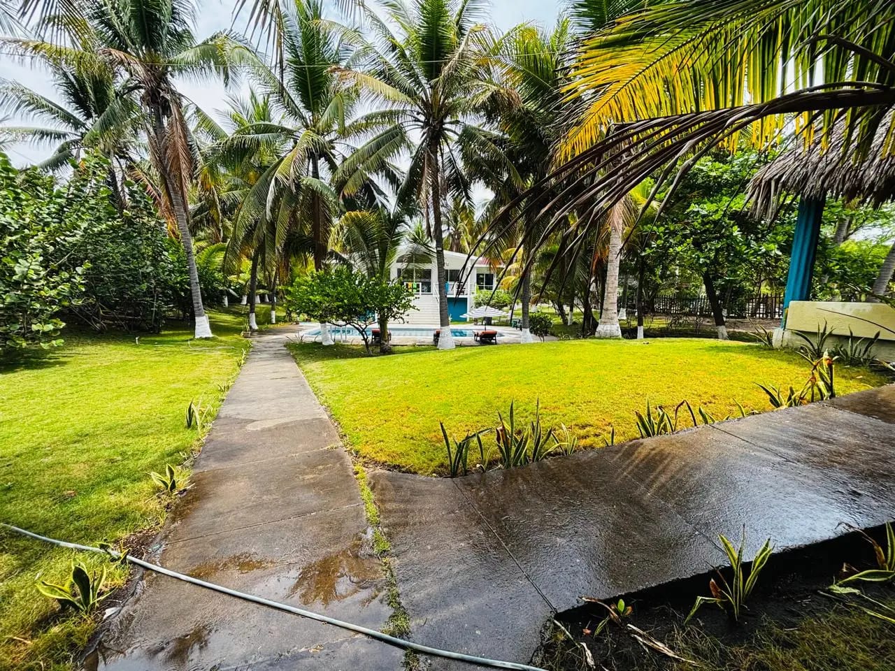 jardines — Las lisas casa de Playa con piscina y jardines — Casa vacacional en Venta en Las Lisas, Santa Rosa — foto 14 de 17
