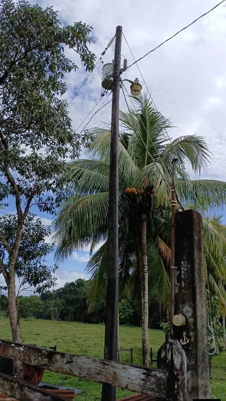 Vendo finca de 15 caballerias a 20 minutos de Río Dulce — Finca en Venta en Río dulce, Izabal — foto 10 de 10