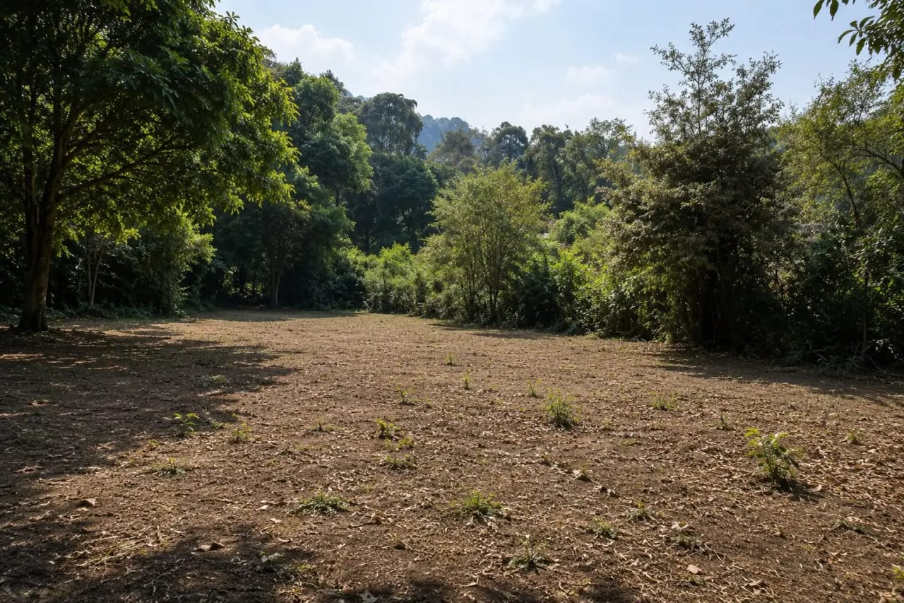 TERRENO EN VENTA EN ALDEA LA LIBERTAD KM 32 MILPAS ALTAS — Terreno en Venta en Santa Lucía Milpas Altas, Sacatepéquez — foto 3 de 3