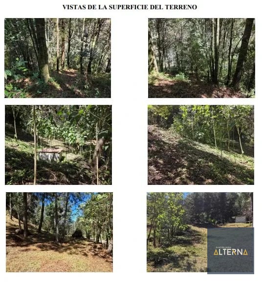 TERRENO EN RENTA EN TECPAN Ideal para parque ecologico — Terreno en Alquiler en Tecpán, Chimaltenango — foto 2 de 5