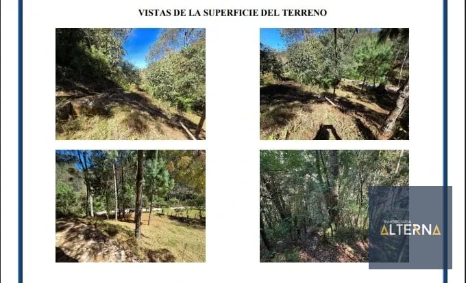 TERRENO EN RENTA EN TECPAN Ideal para parque ecologico — Terreno en Alquiler en Tecpán, Chimaltenango — foto 3 de 5