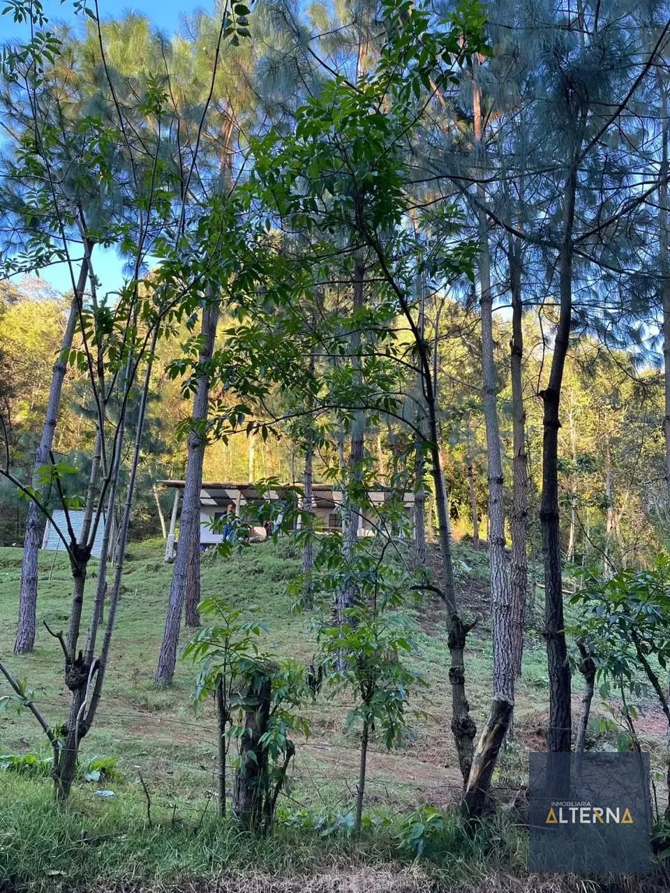 TERRENO EN RENTA EN TECPAN Ideal para parque ecologico — Terreno en Alquiler en Tecpán, Chimaltenango — foto 4 de 5