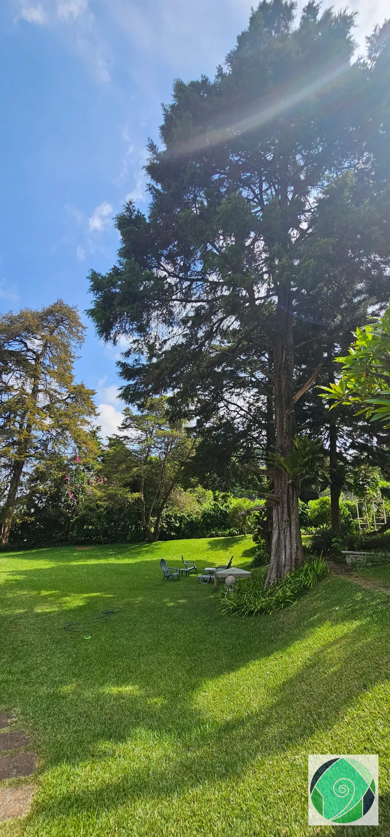 VENTA PROPIEDAD IDEAL PARA RESTAURANTE O CASAS DE RETIRO — Casa vacacional en Venta en Santa Elena Barillas, Guatemala, Ciudad — foto 6 de 16