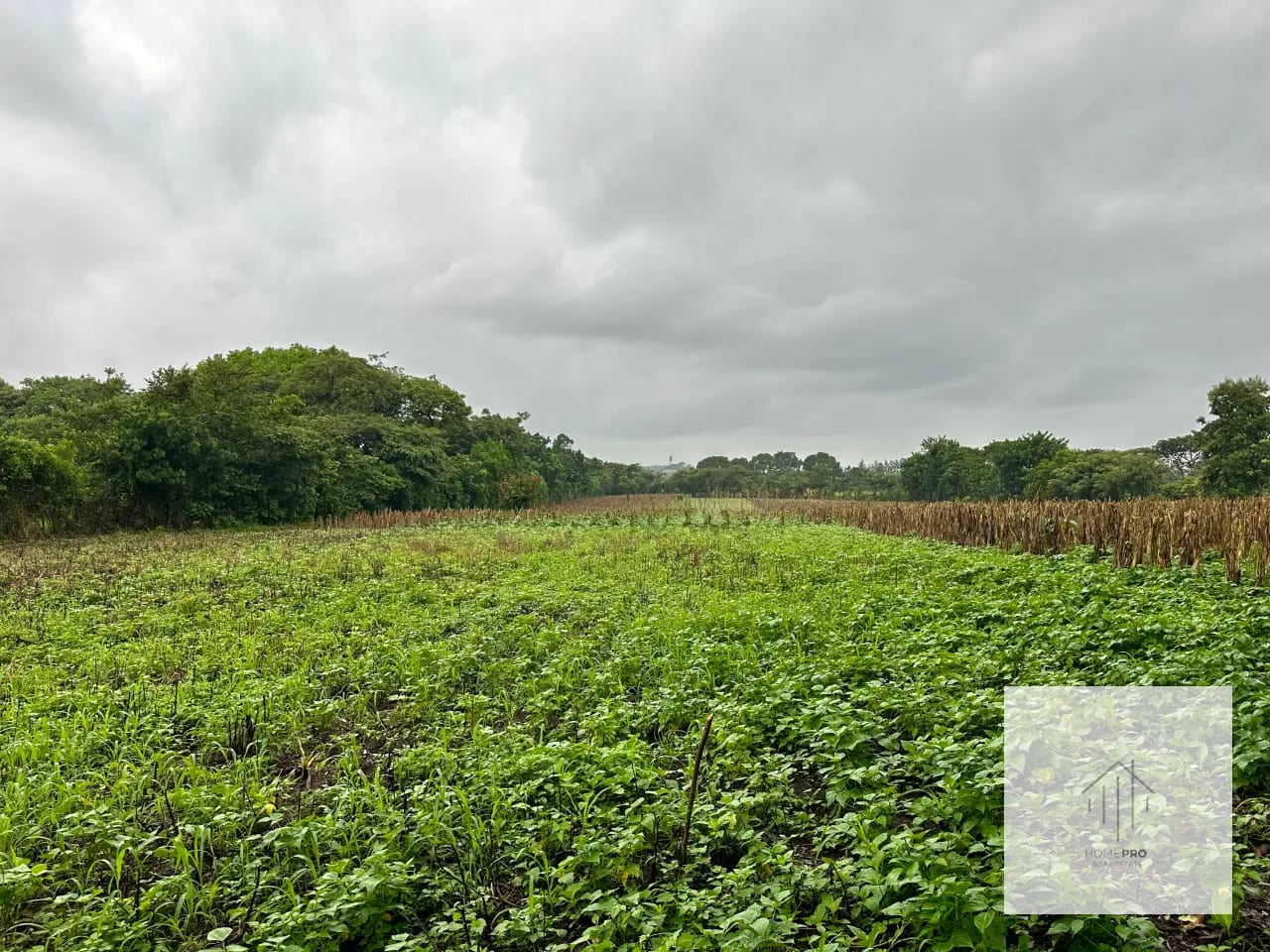 Terreno en Venta en El Jocotillo, Villa Canales. — Terreno en Venta en Villa Canales, Guatemala, Ciudad — foto 1 de 15
