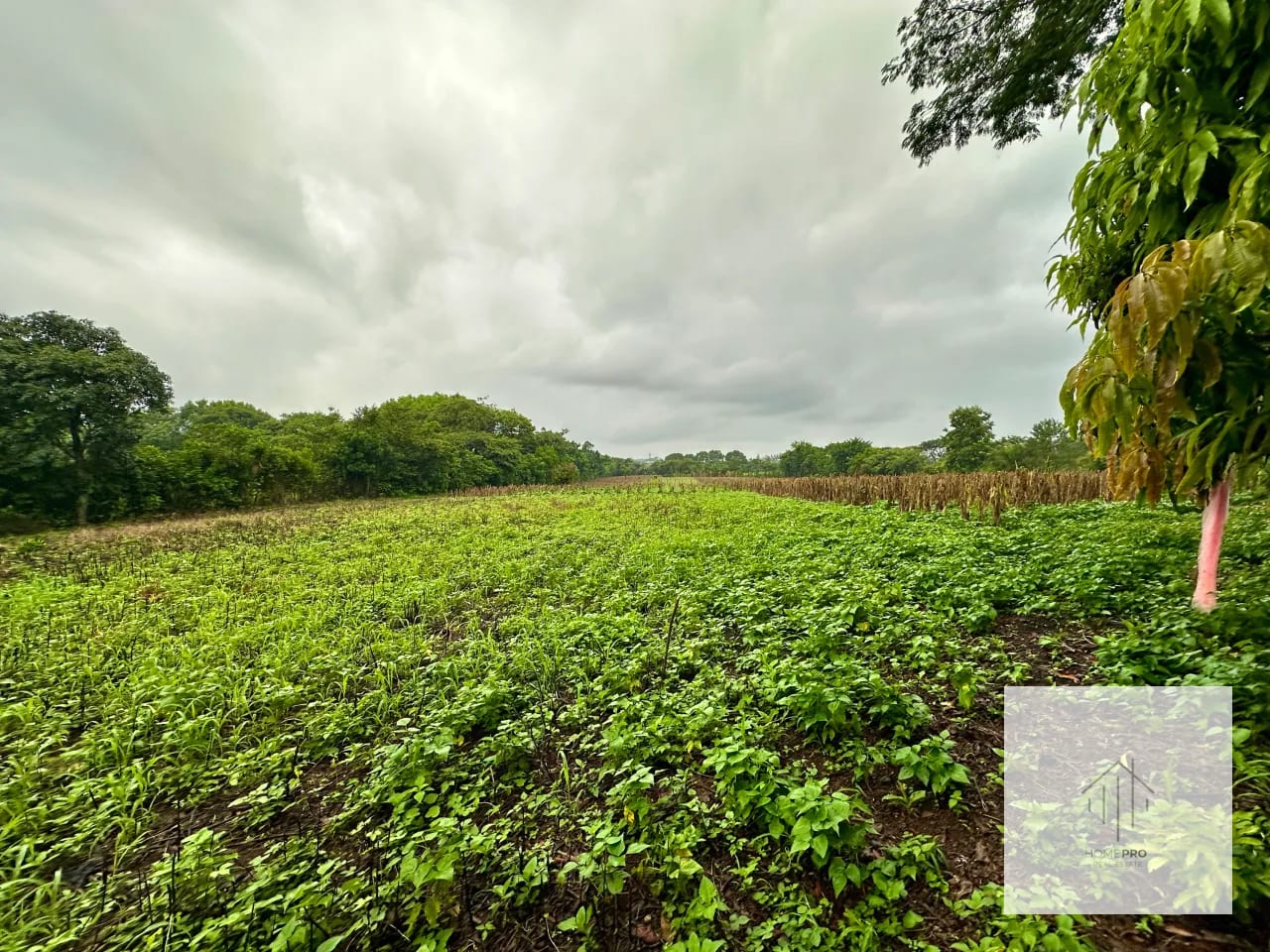 Terreno en Venta en El Jocotillo, Villa Canales. — Terreno en Venta en Villa Canales, Guatemala, Ciudad — foto 2 de 15