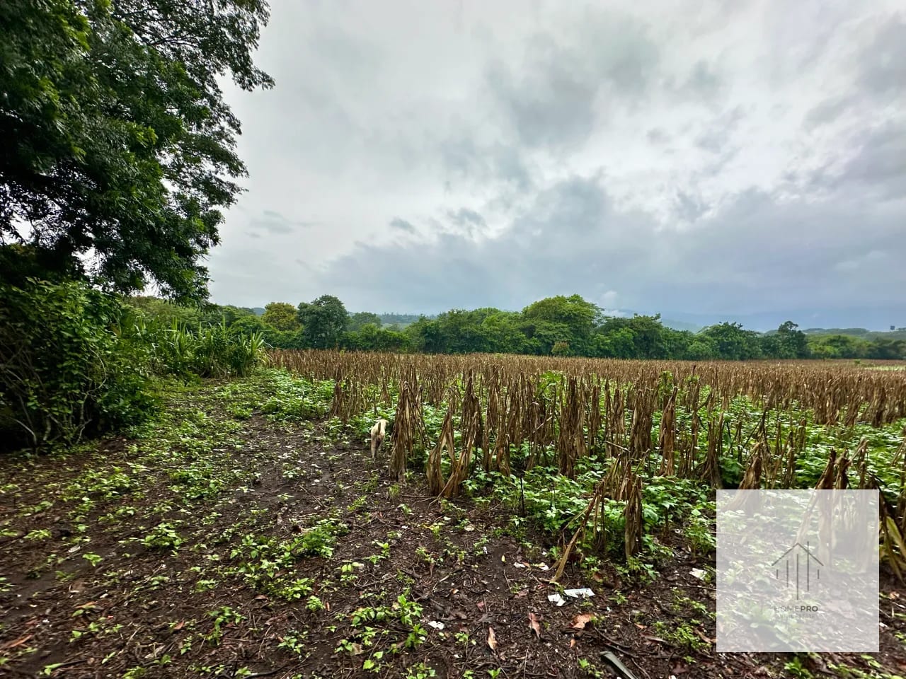 Terreno en Venta en El Jocotillo, Villa Canales. — Terreno en Venta en Villa Canales, Guatemala, Ciudad — foto 5 de 15