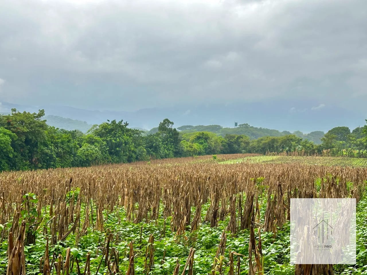 Terreno en Venta en El Jocotillo, Villa Canales. — Terreno en Venta en Villa Canales, Guatemala, Ciudad — foto 7 de 15