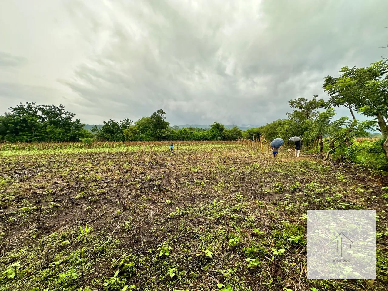 Terreno en Venta en El Jocotillo, Villa Canales. — Terreno en Venta en Villa Canales, Guatemala, Ciudad — foto 10 de 15