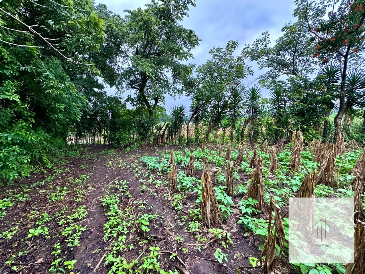 Terreno en Venta en El Jocotillo, Villa Canales. — Terreno en Venta en Villa Canales, Guatemala, Ciudad — foto 13 de 15