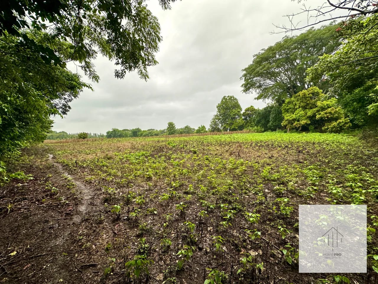 Terreno en Venta en El Jocotillo, Villa Canales. — Terreno en Venta en Villa Canales, Guatemala, Ciudad — foto 15 de 15