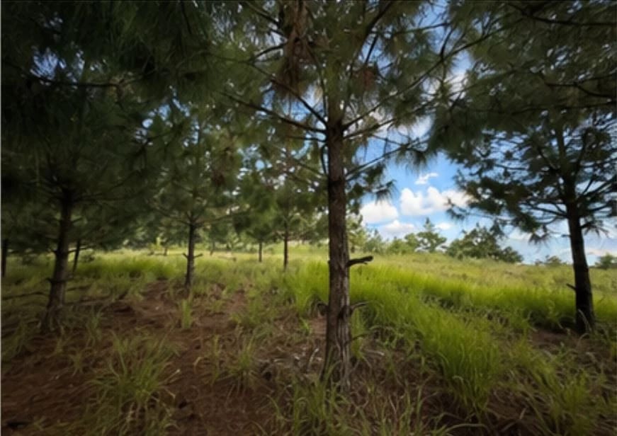Terreno en La Reserva, Pulté Ecuestre — Terreno en Venta en El Pulté Ecuestre, Zona 16, Guatemala, Ciudad — foto 2 de 2