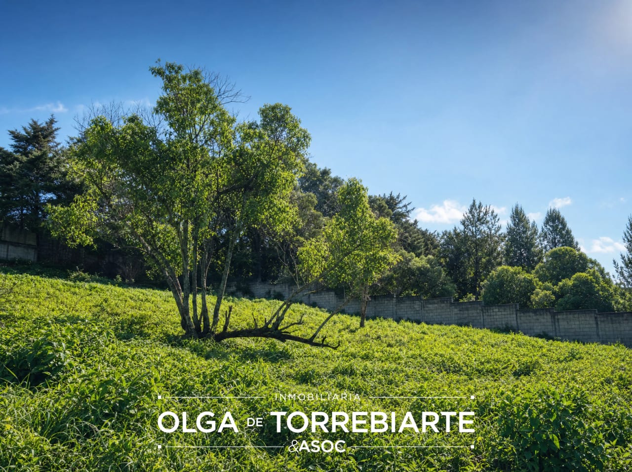 Terreno en Premiere Campestre — Terreno en Venta en Premier Campestre, Carretera a El Salvador, Guatemala, Ciudad — foto 3 de 4