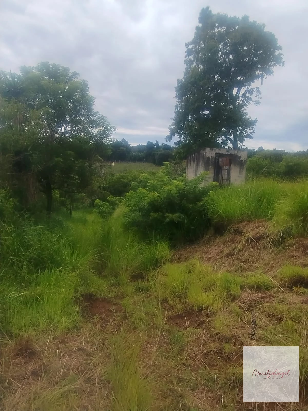 TERRENO EN VENTA SANTA ELENA BARILLAS — Terreno en Venta en Santa Elena Barillas, Guatemala, Ciudad — foto 3 de 7