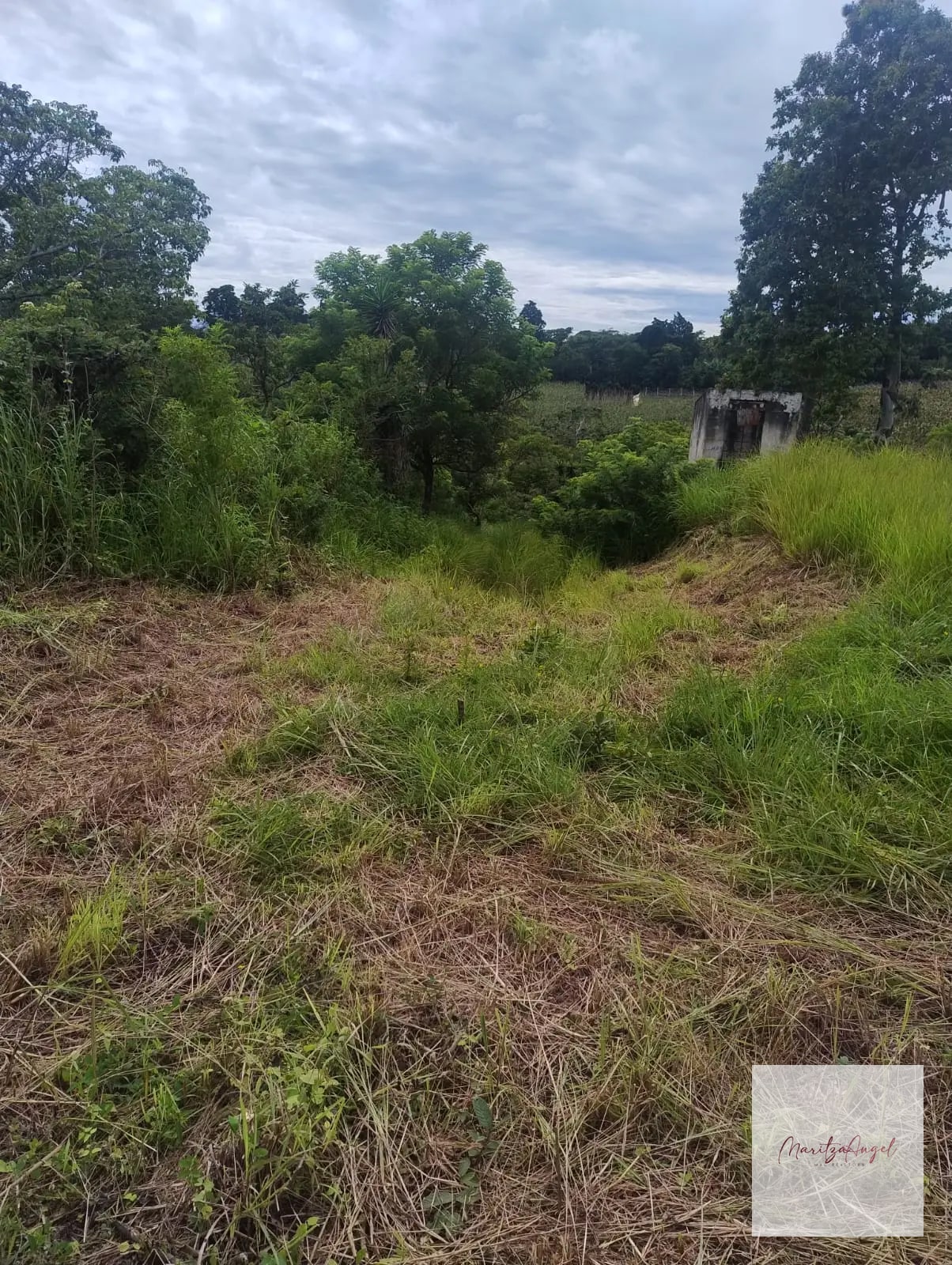 TERRENO EN VENTA SANTA ELENA BARILLAS — Terreno en Venta en Santa Elena Barillas, Guatemala, Ciudad — foto 5 de 7