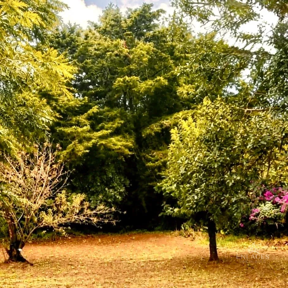 Santa Lucía Milpas Altas • Terreno en Venta • Sacatepéquez — Terreno en Venta en Santa Lucía Milpas Altas, Sacatepéquez — foto 3 de 5