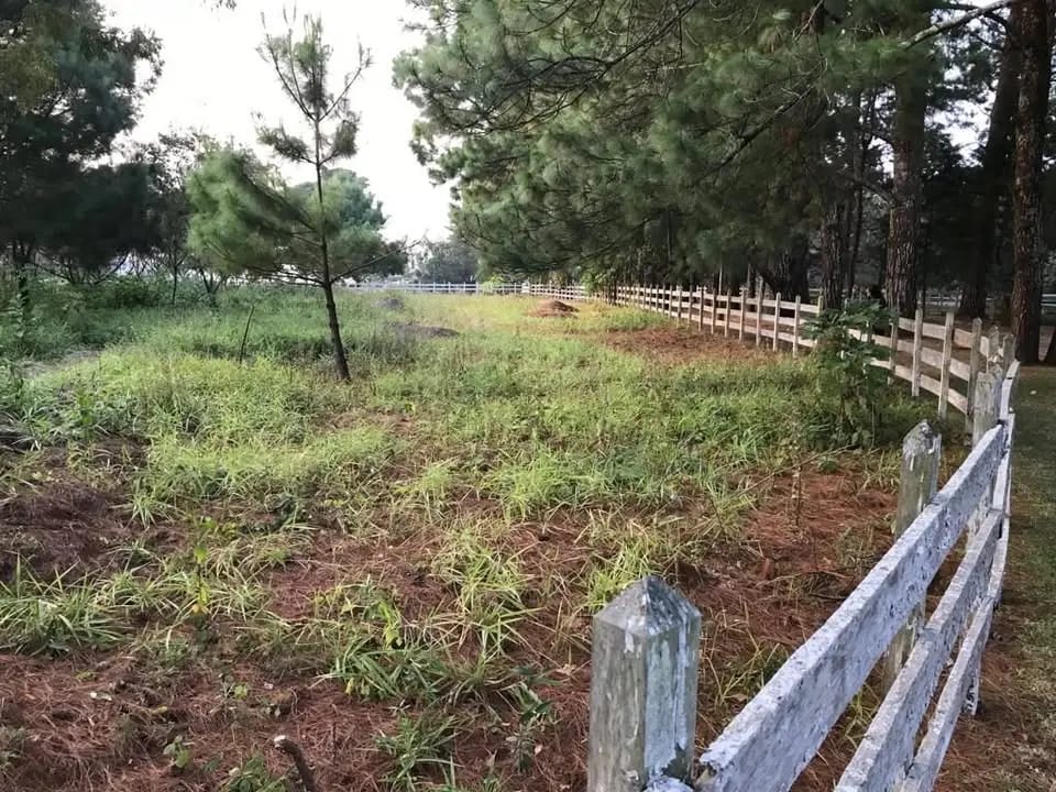 TERRENO SANTA ELENA DEL LAGO EN VENTA EN SANTA ELENA BARILLAS — Terreno en Venta en Carretera a El Salvador, Guatemala, Ciudad — foto 1 de 10