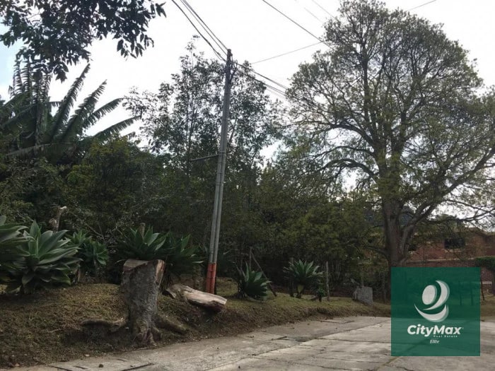 TERRENO EN VENTA - SANTA ROSALIA - 1