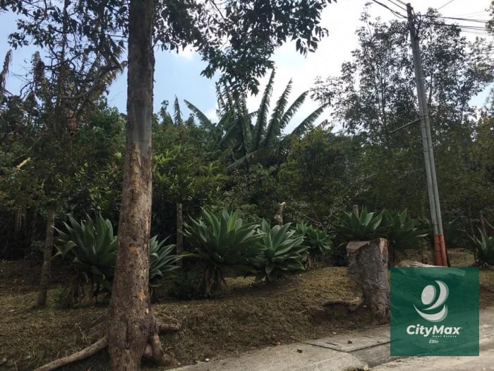TERRENO EN VENTA - SANTA ROSALIA - 4