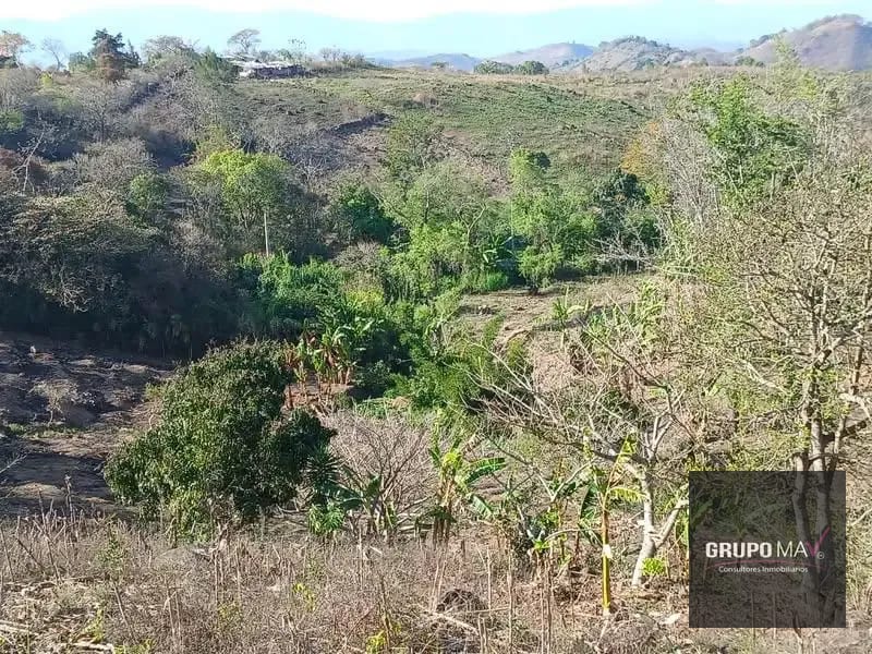 Terreno Urbano Cantón Rincón de la Piedra, Palencia — Terreno en Venta en San José Pinula, Guatemala, Ciudad — foto 3 de 5