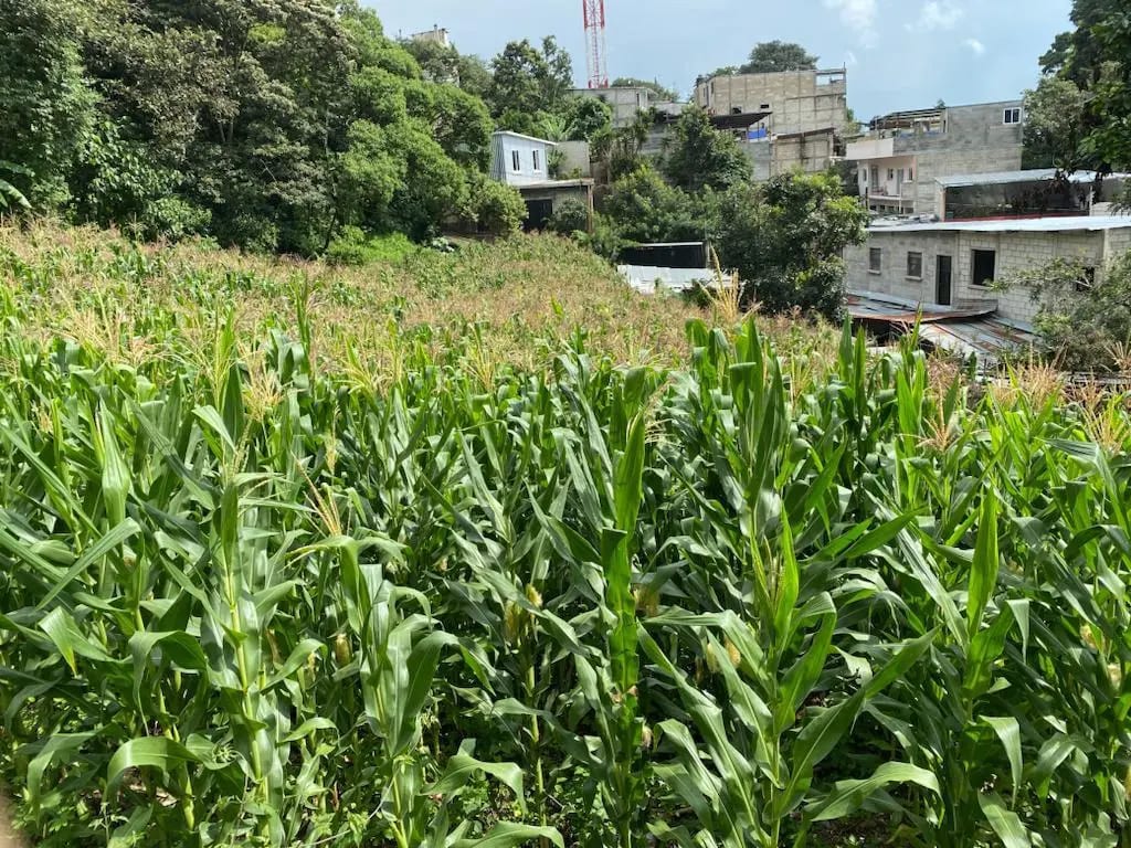 Terreno en Santa Catarina Pinula - Image 5