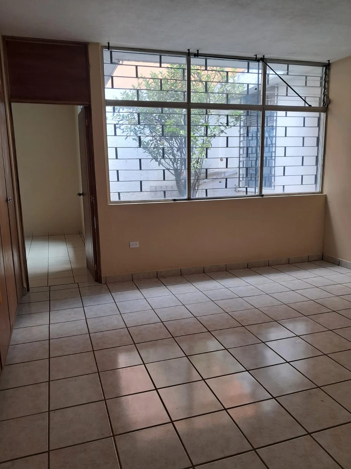 Casa de un nivel en Zona 10 — Casa en Alquiler en Zona 10, Guatemala, Ciudad — foto 7 de 12