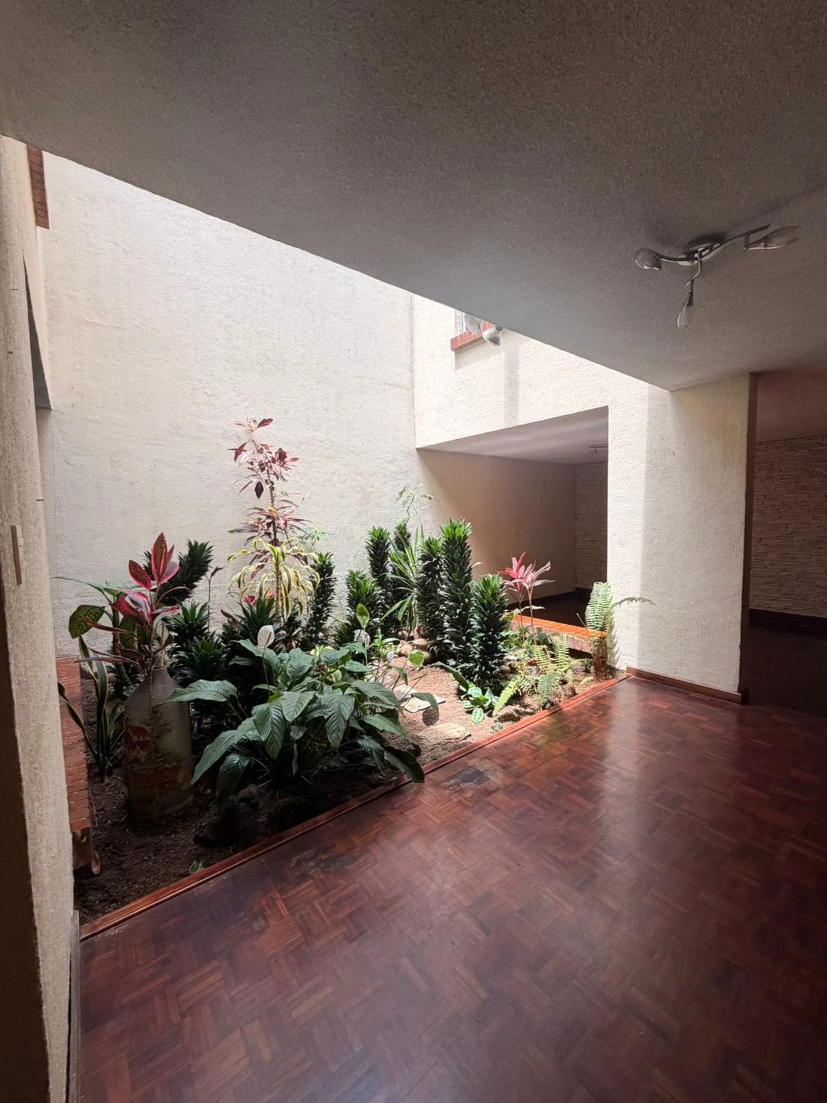 Casa en Zona 10 — Casa en Alquiler en Zona 10, Guatemala, Ciudad — foto 8 de 12