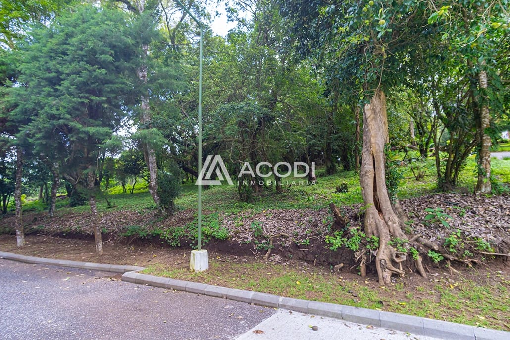 Terreno residencial en Fraijanes - Image 3