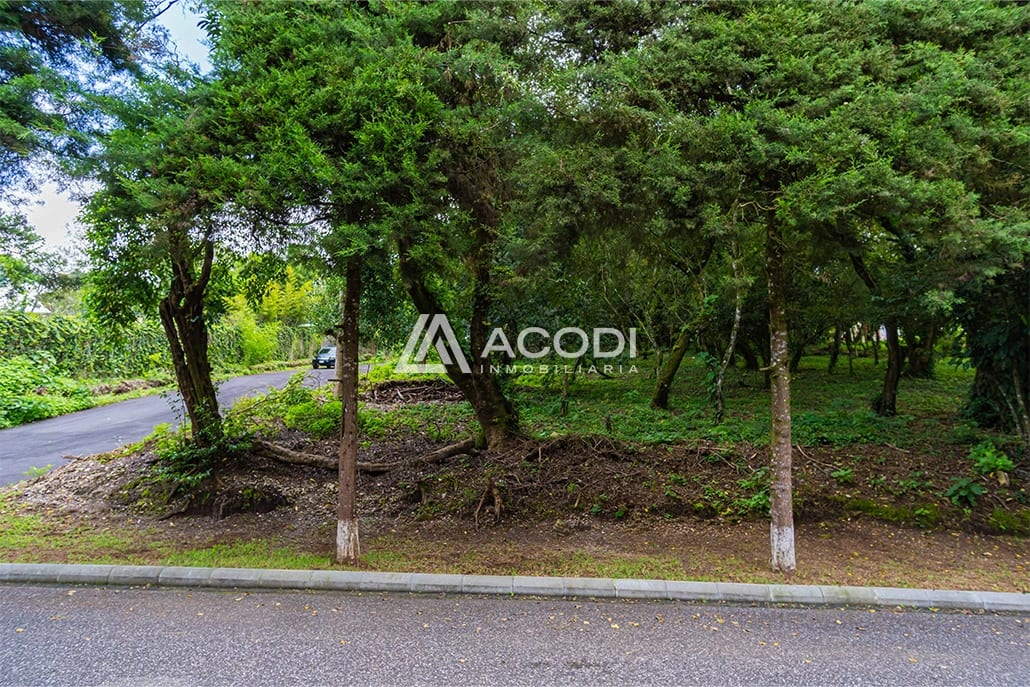Terreno residencial en Fraijanes - Image 5