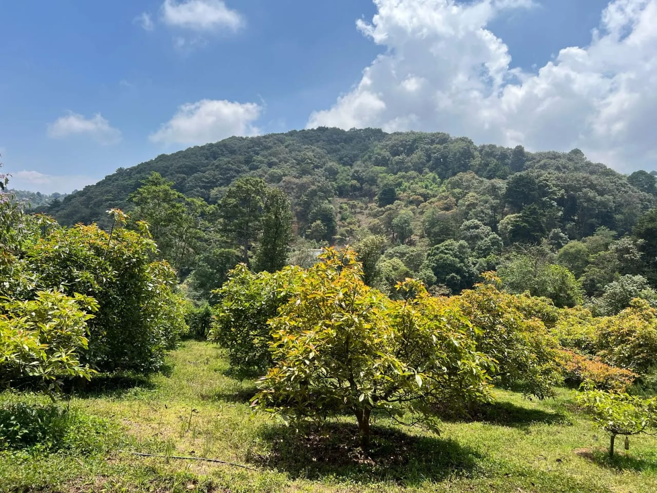 Terreno en Santiago Sacatepéquez — Terreno en Venta en Santiago Sacatepéquez, Sacatepéquez — foto 1 de 10