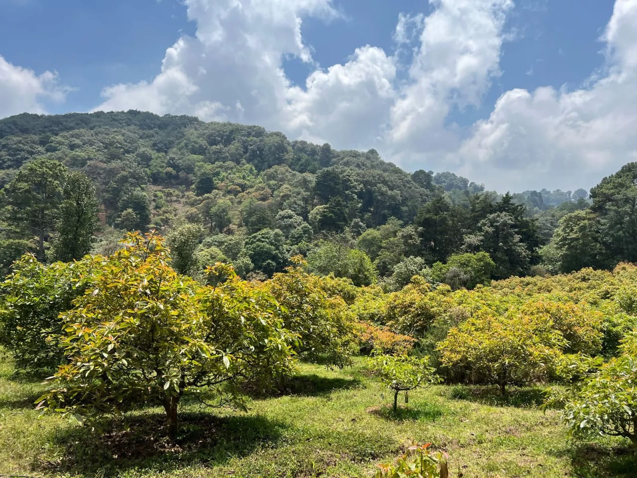 Terreno en Santiago Sacatepéquez — Terreno en Venta en Santiago Sacatepéquez, Sacatepéquez — foto 6 de 10