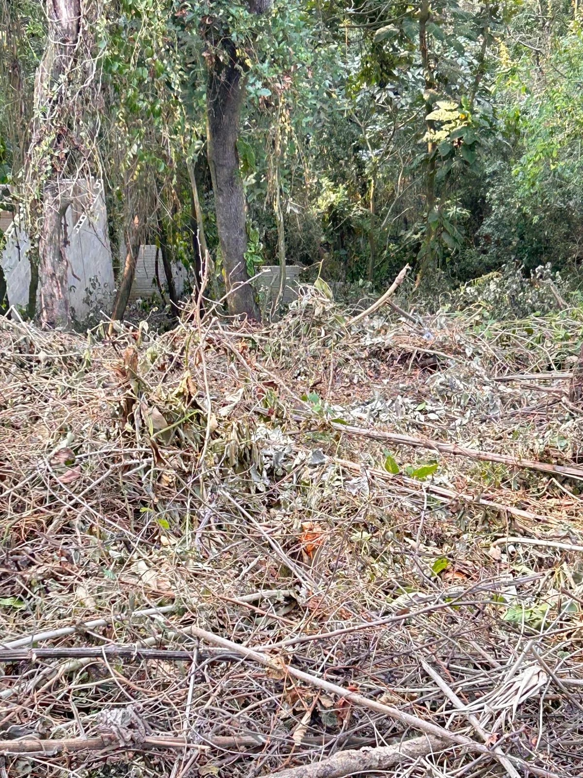 Terreno en Santa Rosalía, Km 12 Carretera a El Salvador — Terreno en Venta en Carretera a El Salvador, Guatemala, Ciudad — foto 3 de 3