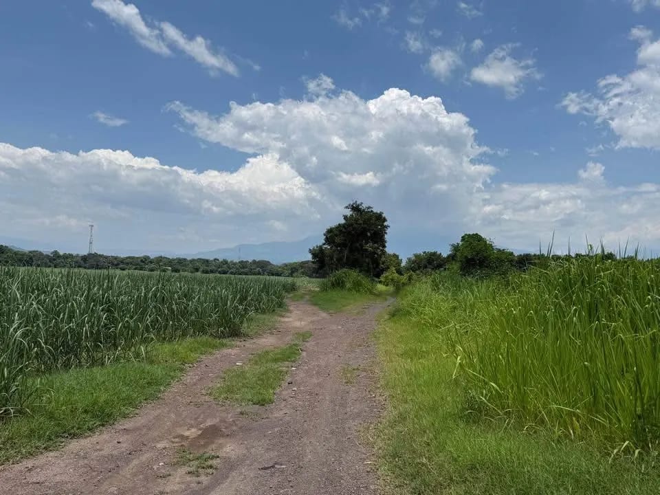 Terreno en Guanagazapa, Km 84 Escuintla — Terreno en Venta en Escuintla, Escuintla — foto 1 de 3